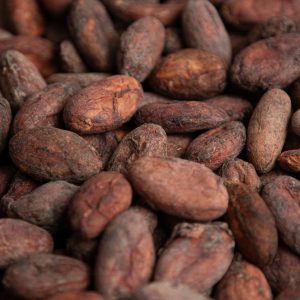 Cacao en grano