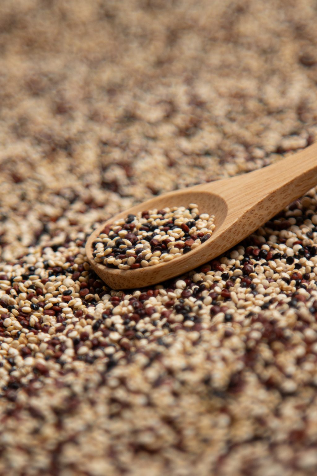 Quinua Multicolor